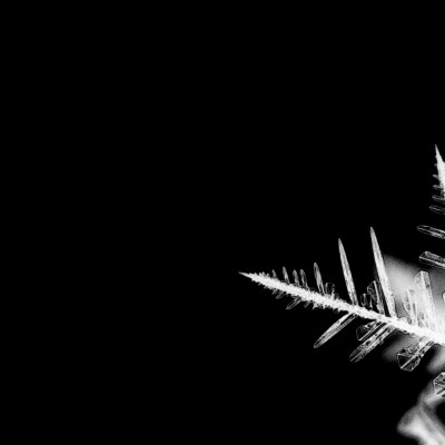 1920 x 1080 HD Wallpapers 2823